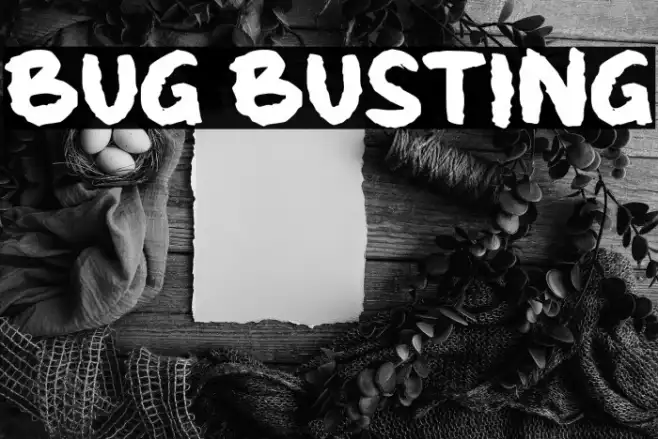 Bug Busting Example 2