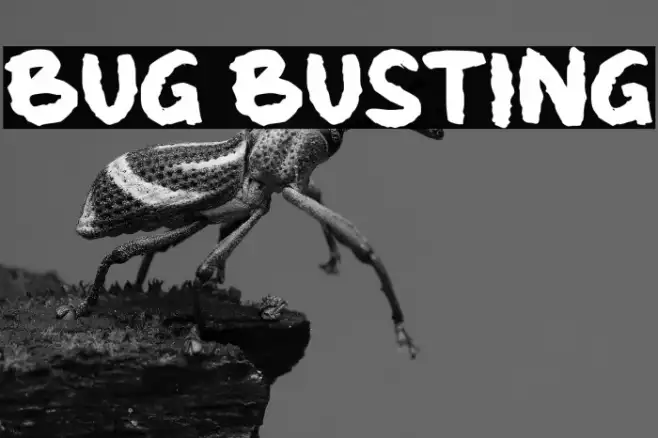 Bug Busting Example 3