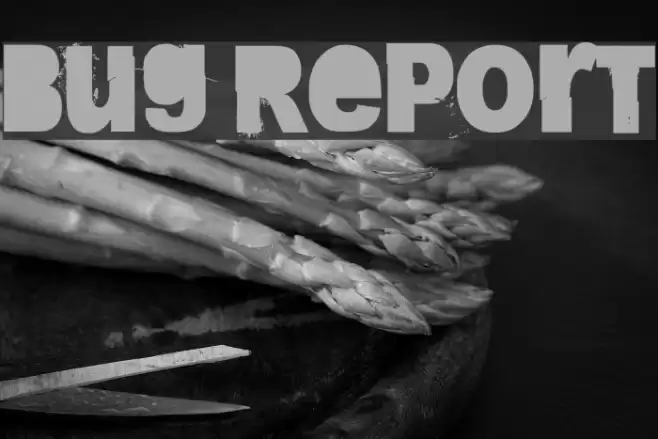 Bug Report Шрифта examples