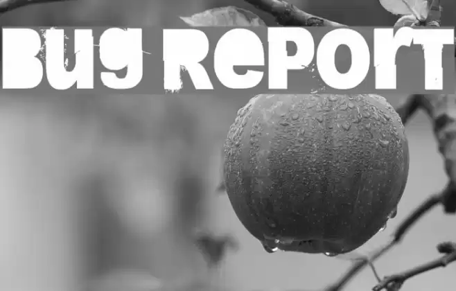 Bug Report Шрифта examples