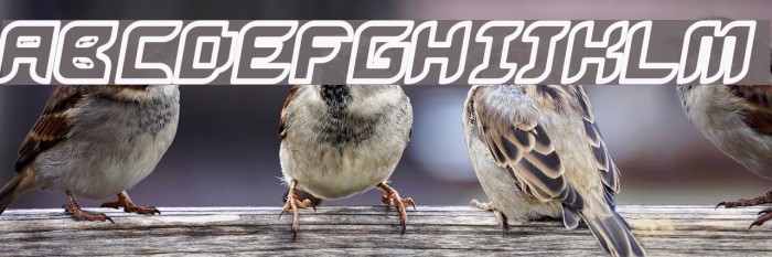 Bug2K Oblique フォント examples
