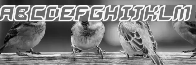 Bug2K Oblique Polices examples