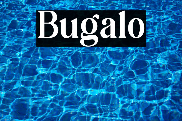 Bugalo Example 1