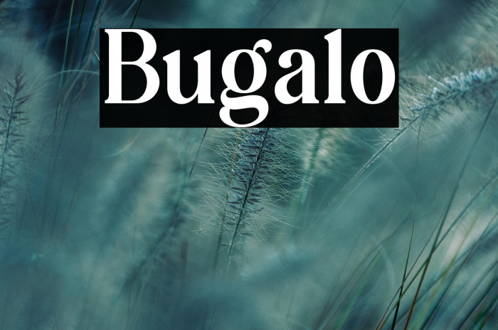 Bugalo Example 2
