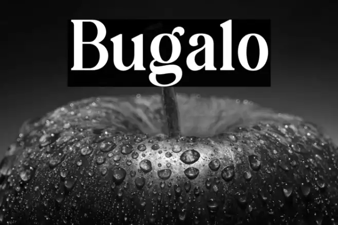Bugalo Example 3