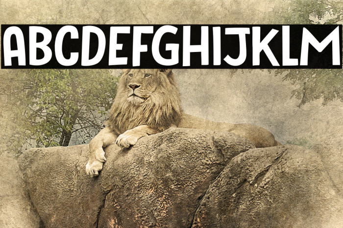 Bugbear DEMO Regular Font examples