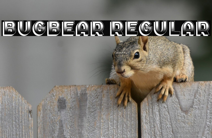 Bugbear Regular Example 3