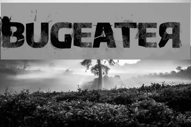 Bugeater Example 1