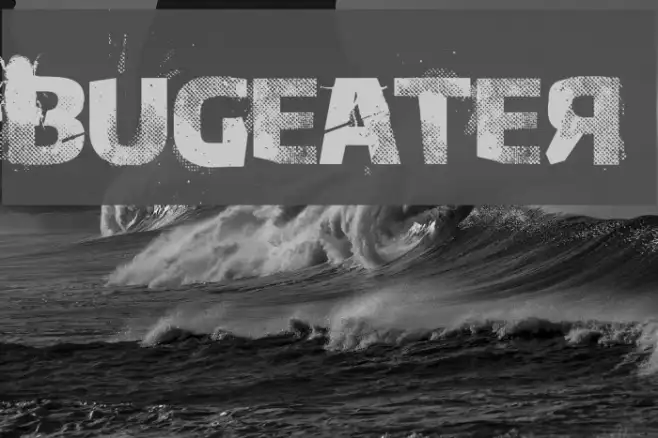 Bugeater Example 2