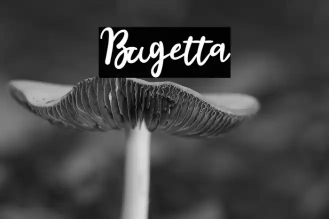Bugetta Font examples