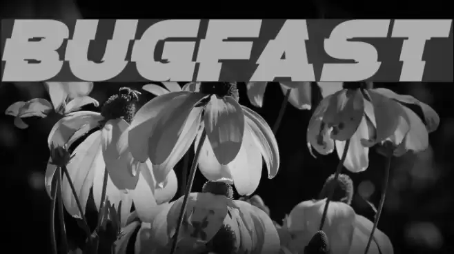 Bugfast フォント examples