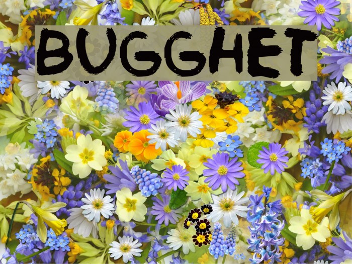 Bugghet Font examples
