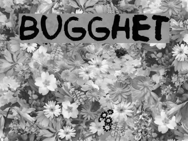 Bugghet Example 1