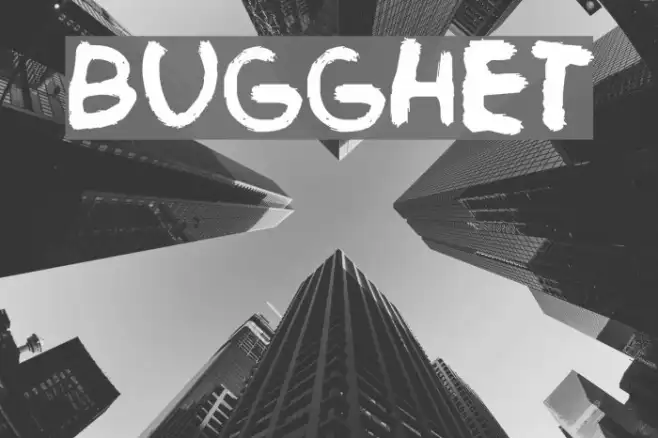 Bugghet Example 2