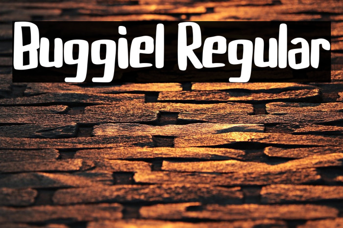 Buggiel Regular Font examples