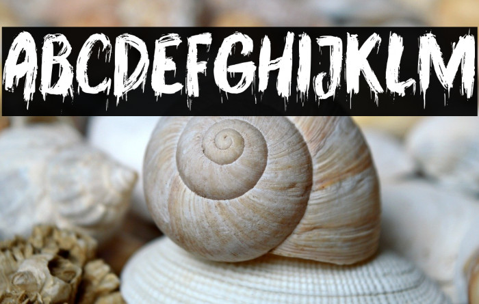 Buggy Trick Example 1