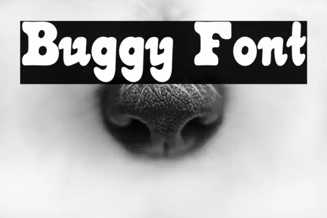 Buggy Font examples