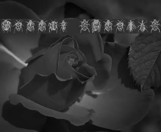 Buggys Regular Font examples