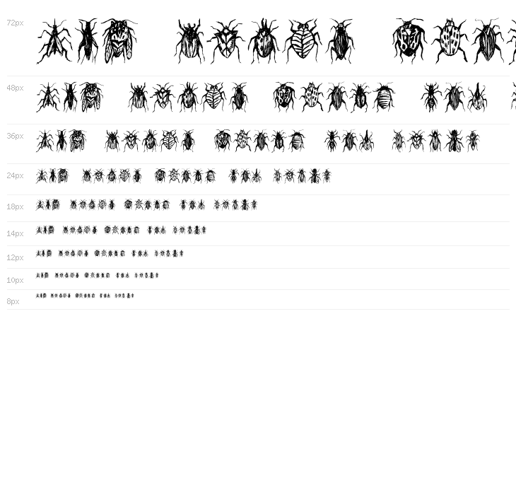 Buggys Regular Waterfall