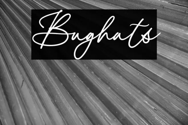 Bughats Font examples