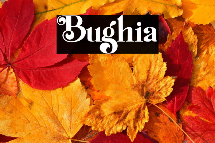 Bughia Example 1