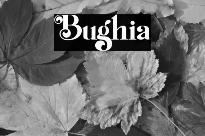 Bughia Font examples