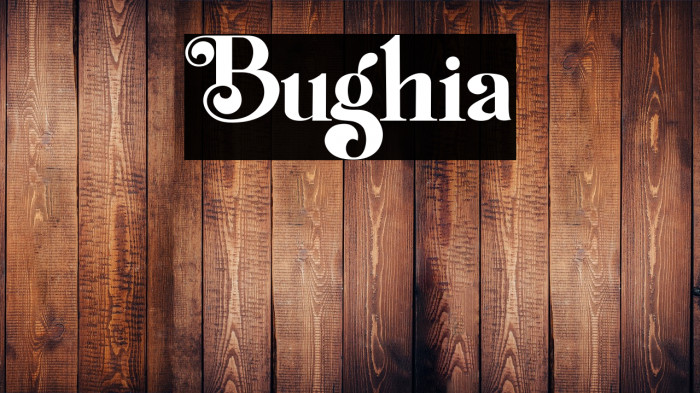 Bughia Example 2