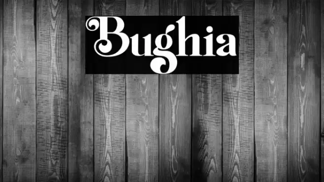 Bughia Font examples