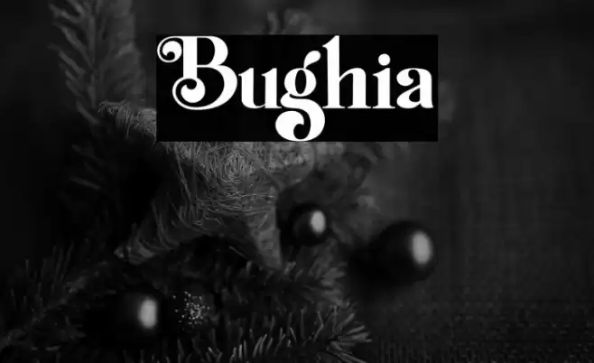 Bughia Font examples