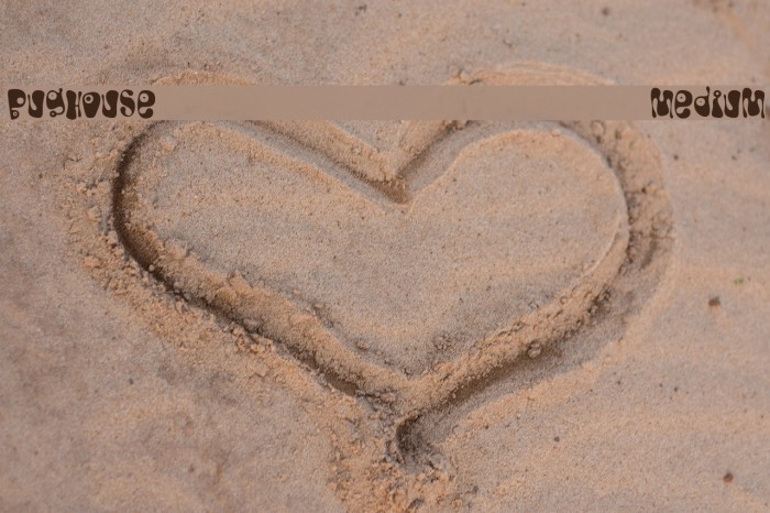 Bughouse Medium Example 3