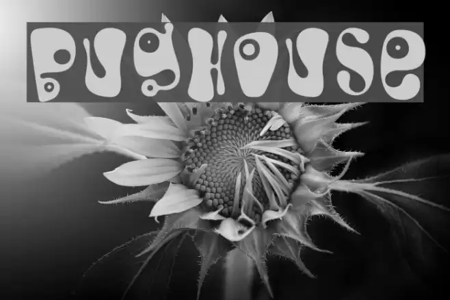 Bughouse Font examples