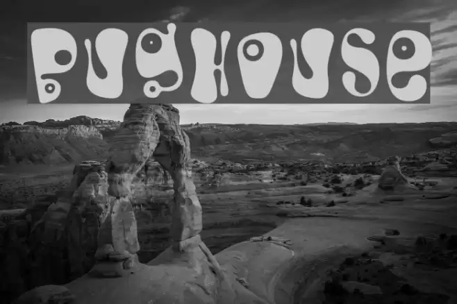 Bughouse Font examples