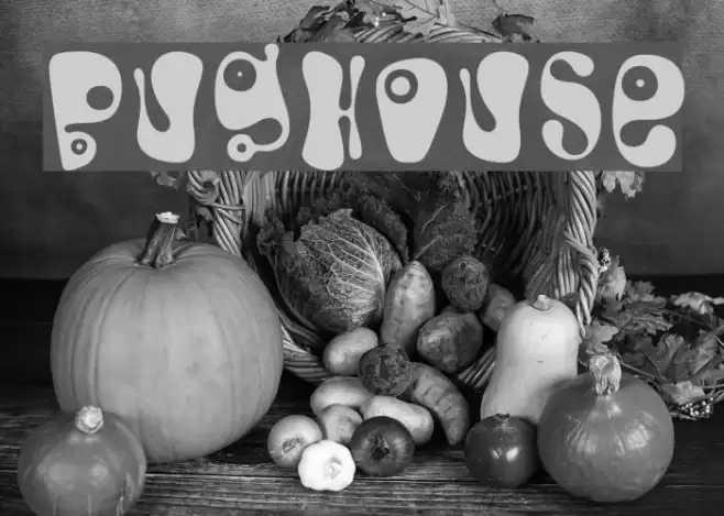 Bughouse Font examples