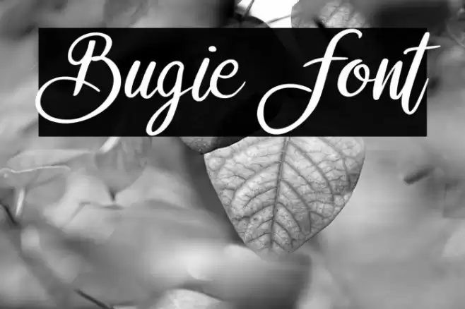 Bugie Font examples