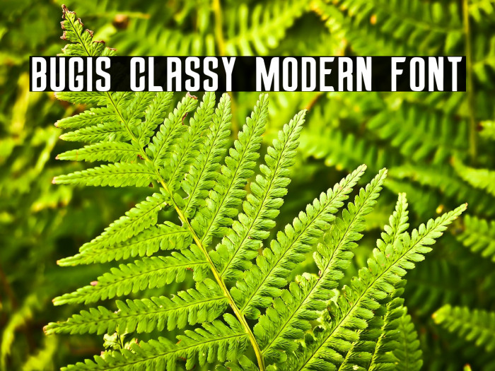 Bugis Classy Modern Font Example 1