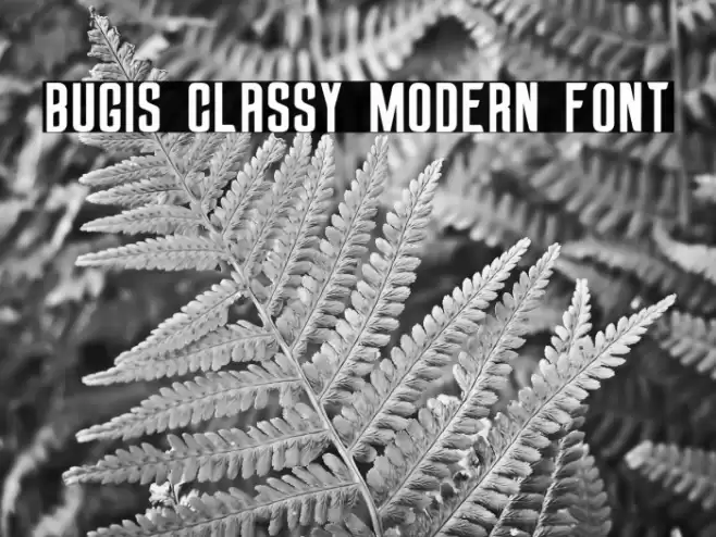 Bugis Classy Modern Font Font examples