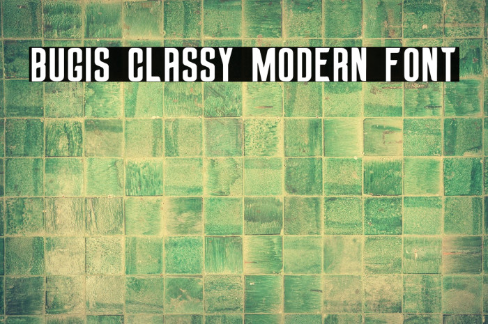 Bugis Classy Modern Font Example 2