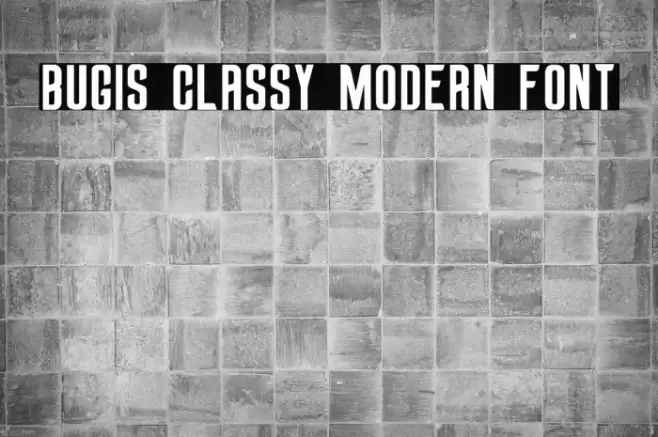 Bugis Classy Modern Font Font examples