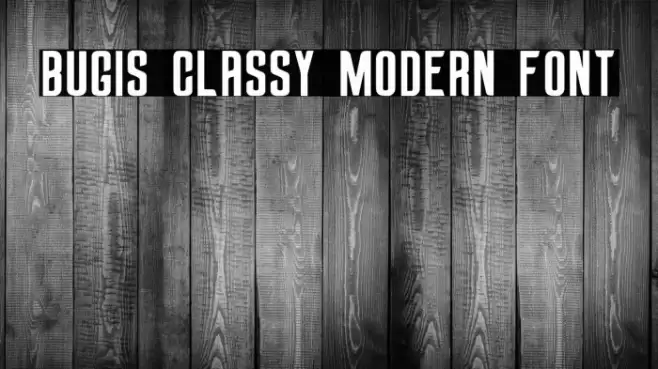 Bugis Classy Modern Font Font examples