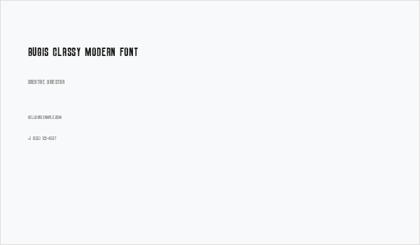 Bugis Classy Modern Font Business Card