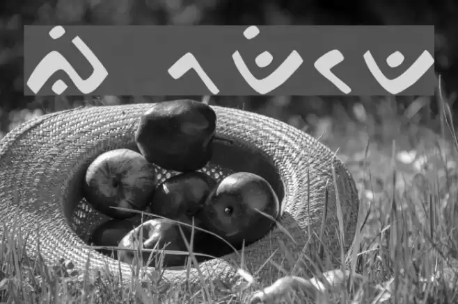 Bugis Modified Polices examples