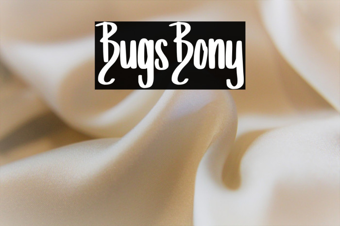 Bugs_Bony Example 1
