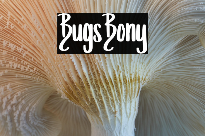 Bugs_Bony Example 2