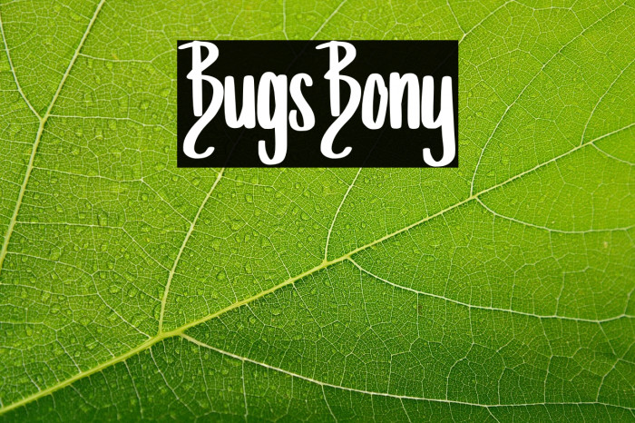 Bugs_Bony Example 3