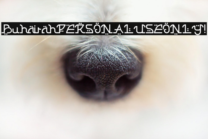 Buhairah PERSONAL USE ONLY! Example 2