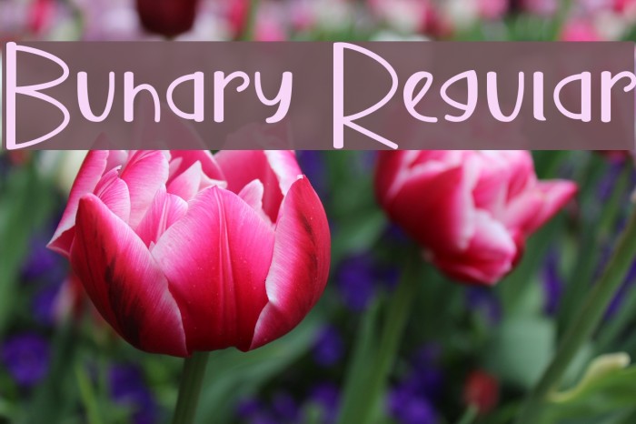 Buhary Regular Example 3