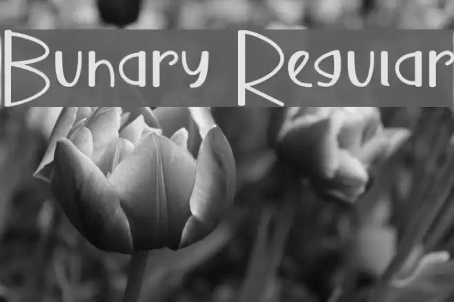 Buhary Regular Font examples