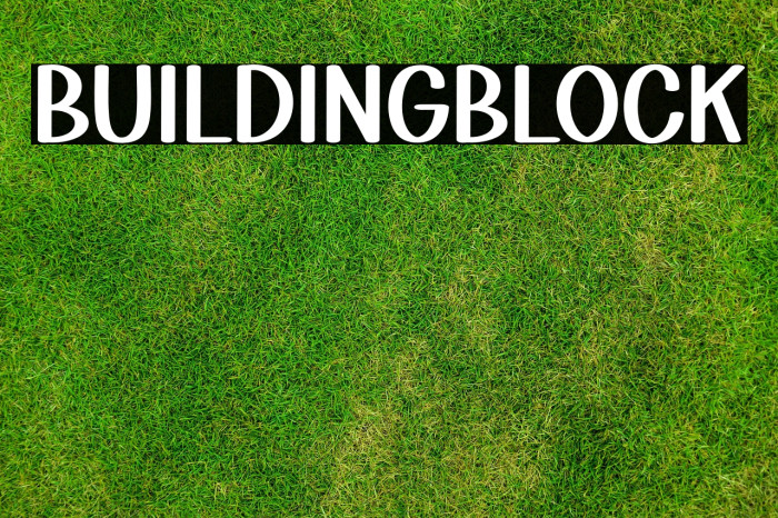 Building Block Example 2