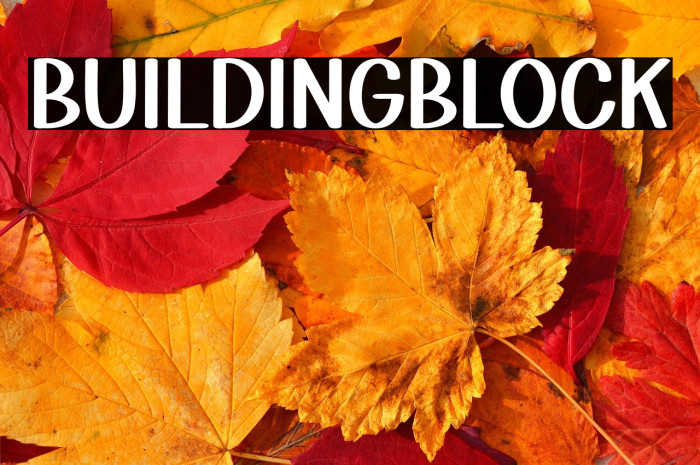 Building Block Example 3