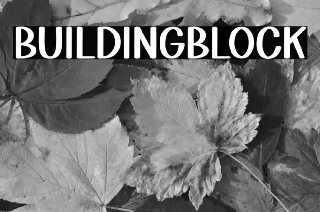 Building Block Example 3
